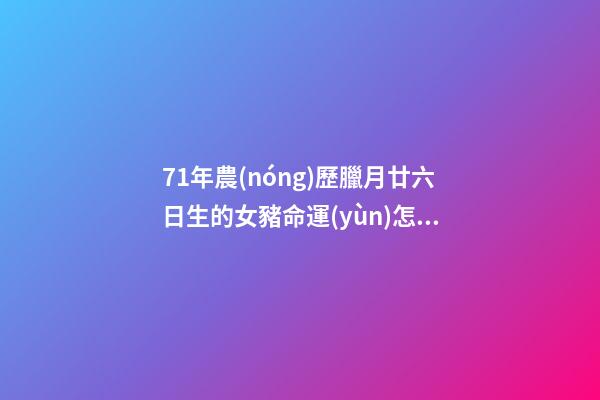 71年農(nóng)歷臘月廿六日生的女豬命運(yùn)怎樣 2023年1983年農(nóng)歷5月19日屬豬的運(yùn)勢(shì)？-第1張-觀點(diǎn)-玄機(jī)派